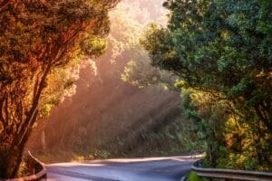 The Age of Neuroplasticity- A New Path to Success in 2025 