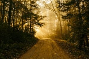 Feeling Good and Happy Every Day: Walking to Zen Your Energy