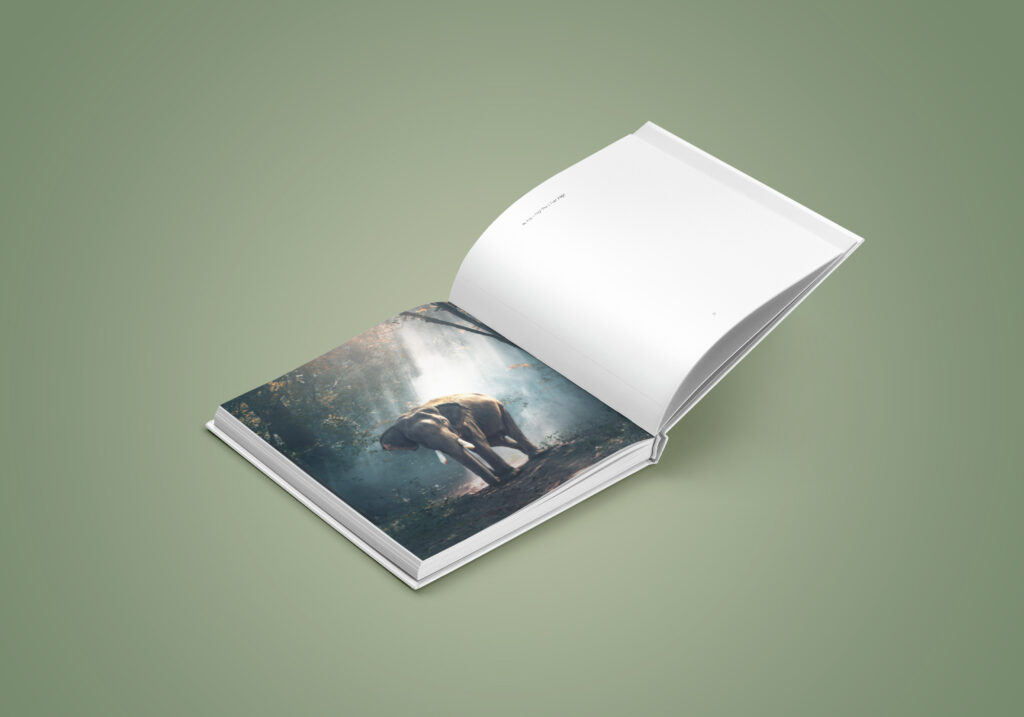 What do you need to forget to remember joy? Rich Monday Paper, Edition 55 brings you inspiring Good News, expert insights and practical steps, we explore what makes forgiveness the essential factor for mental clarity, healthier relationships and a deeper sense of joy.
