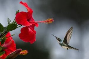 Say Hello to Rich Colours: Tips to Bring Nature to Your Home this Spring