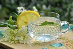 Happy Table: Celebrate Sunday Plant- Based Lunch Ahead of Spring Equinox