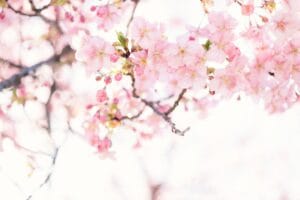 Feeling Good and Happy Every Day- Learning to Let Happiness In