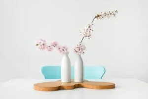 Feng Shui and the Wealth Area: Unlocking Prosperity in Your Home