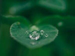 9 Signs You Live on Autopilot & How to Stop Drifting and Mind- Wandering