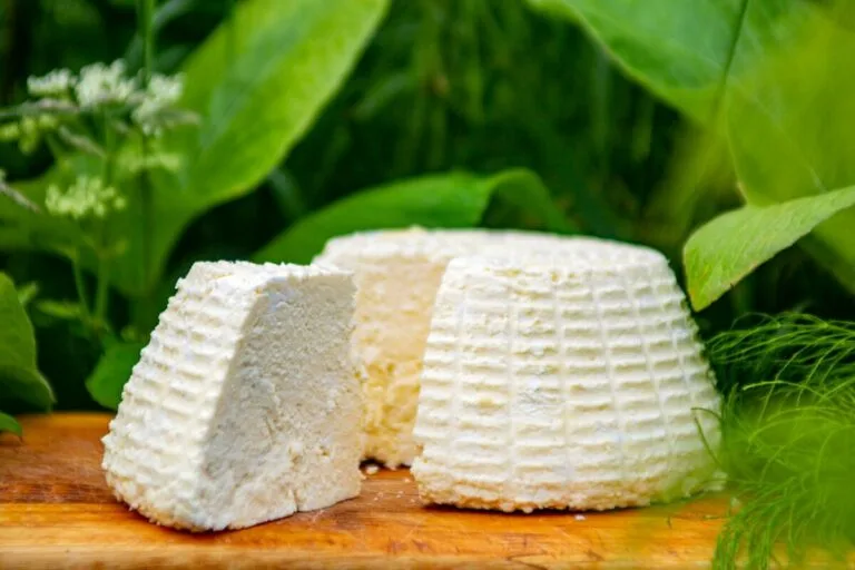 Premium Dairy Market Signals New Era for Asia-Pacific Trade Relations