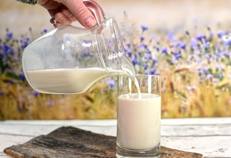 drink, milk, glass, refreshment, nourishment, healthy, dairy, milk, milk, milk, milk, milk