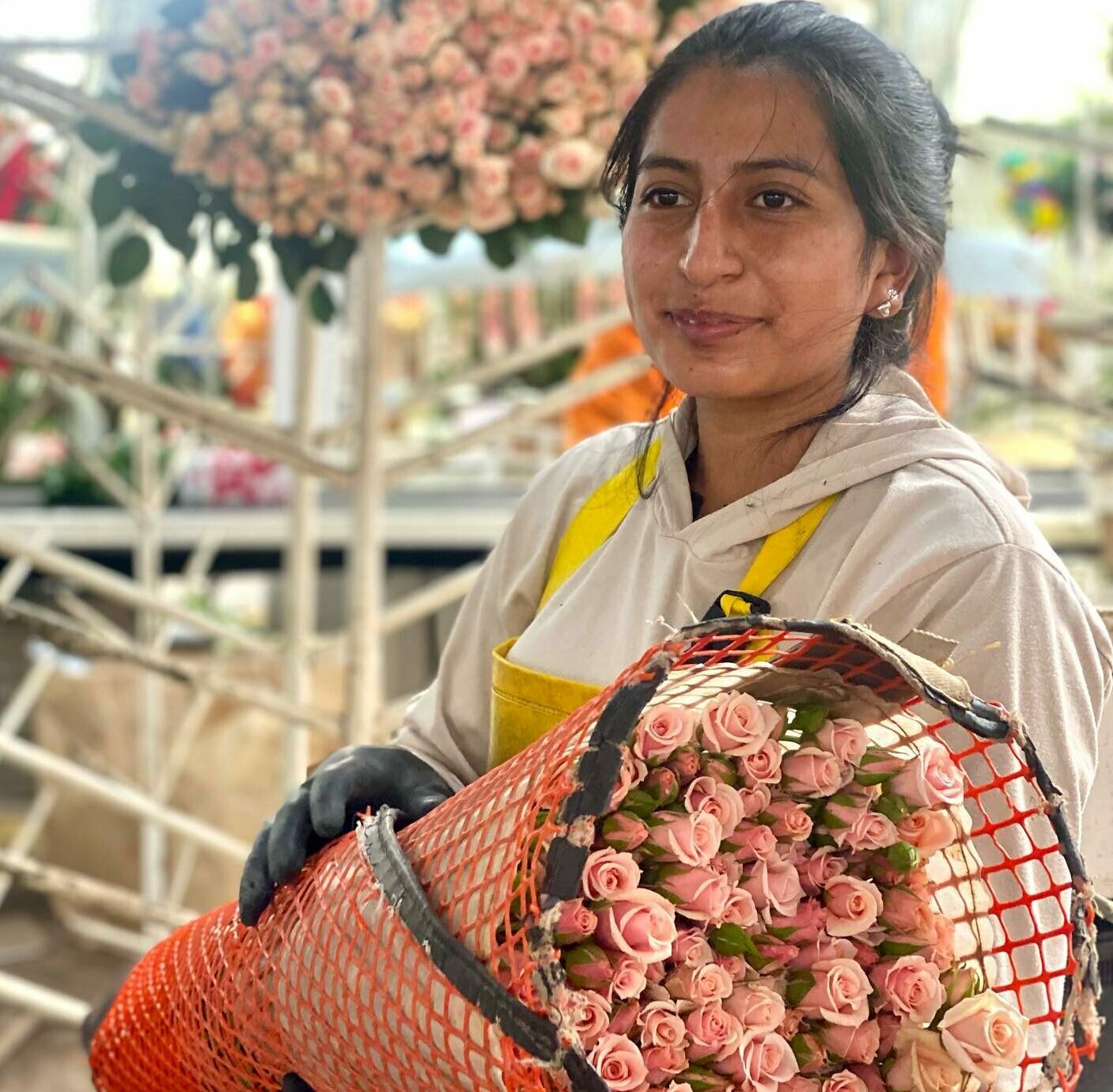 Sustainable Floristry Movement Takes Root as Ocean Plastic Crisis Deepens