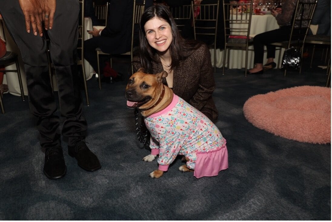Honouring Martha Stewart and Dr. Dan Belkin NYC Second Chance Rescue Hosts 5th Annual Rescue Ball Gala with Performance by Grammy Award-Winner Rob Thomas, Special Appearance by Georgina Bloomberg, Auctioneer Elvis Duran, and DJ Set by GEO ROC