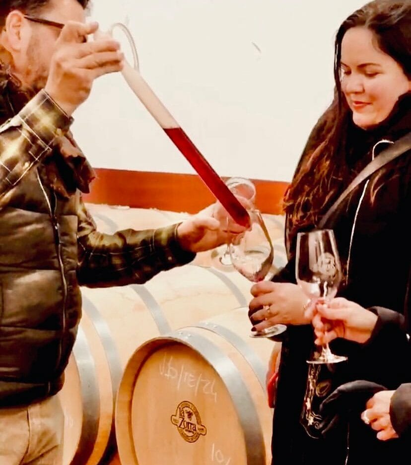 Discover curated European wine journeys for women - experience Spain, Italy and Portugal’s traditions, gastronomy and heritage with intimate expert-led tours