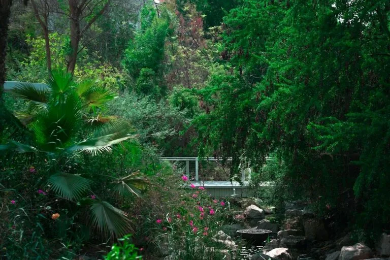 a bridge over a river surrounded by lush green trees