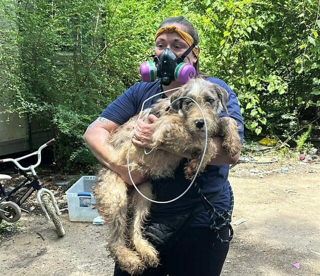 Volunteers race to rescue children and 34 animals from neglect in Louisiana—proving how community care, animal welfare and swift response saves lives