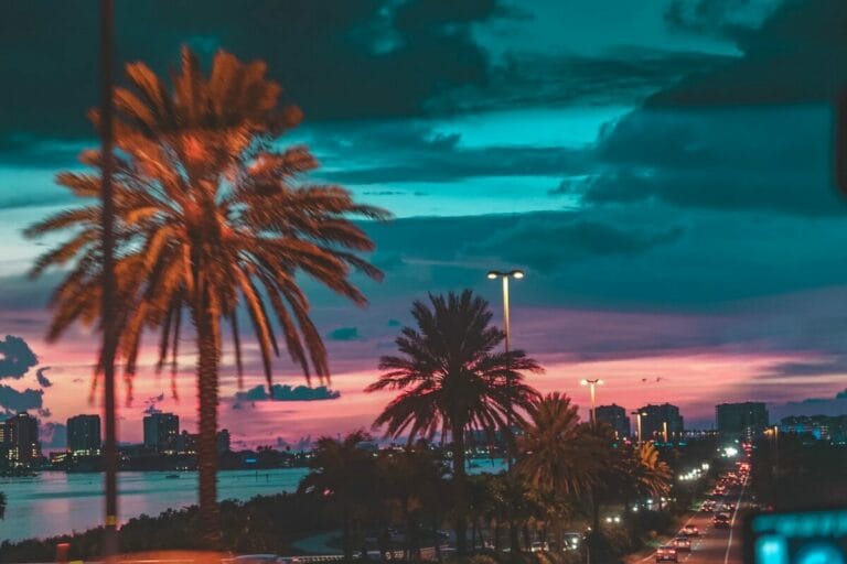 concrete road with palm trees near cityscape